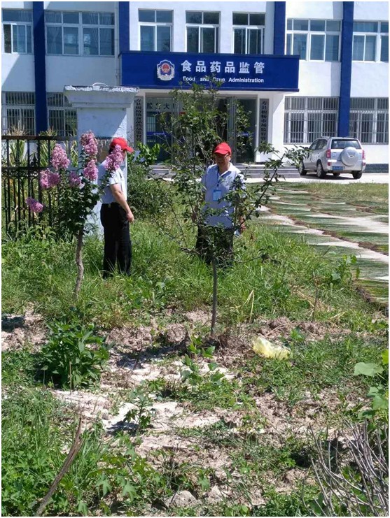 QQ图片20170725151340.png