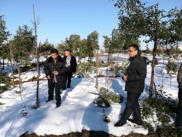 QQ图片20180202085611.png